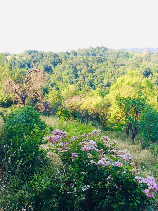B&B Al Giardino Dei Mandorli Prasco 외부 사진