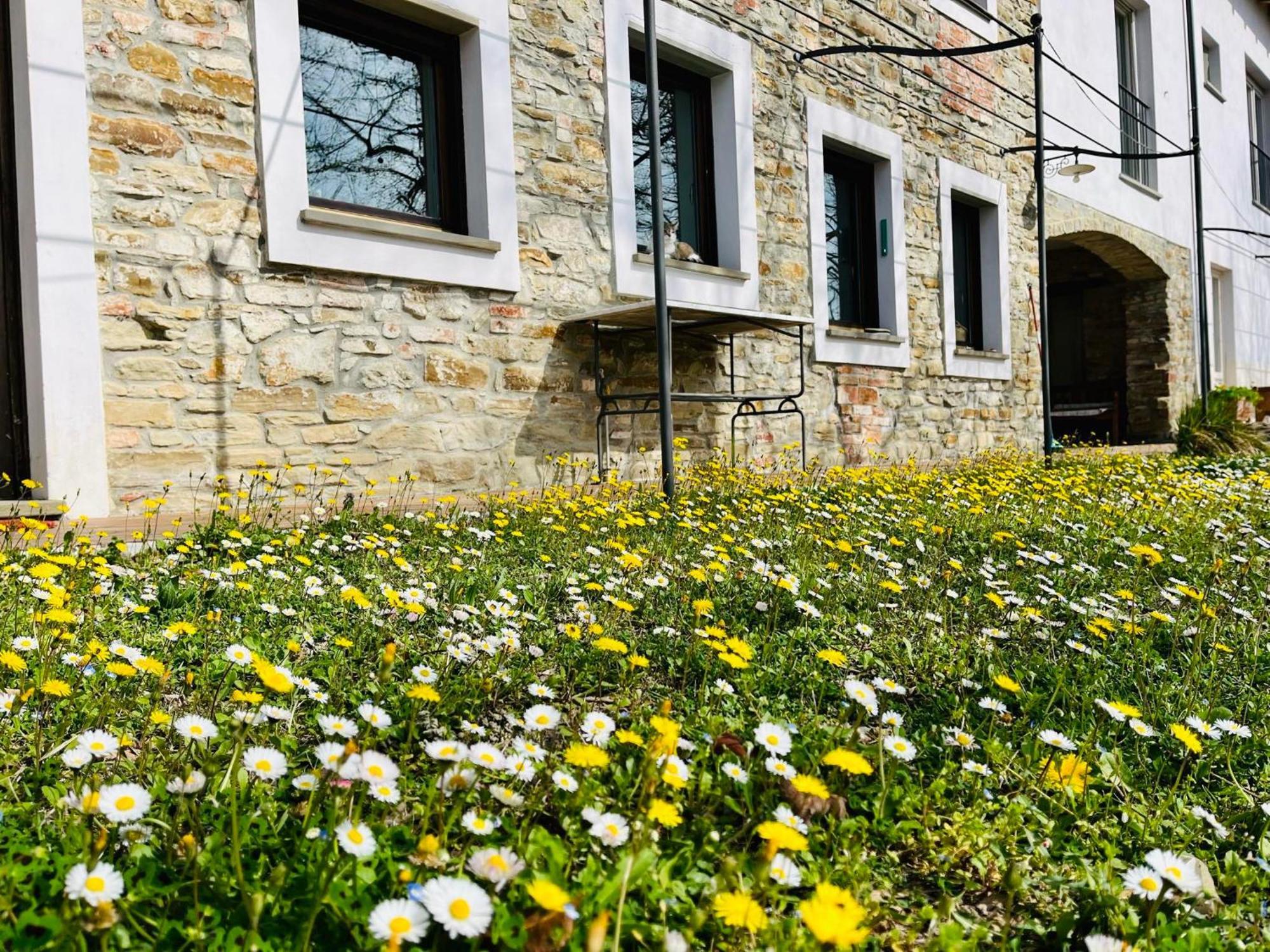 B&B Al Giardino Dei Mandorli Prasco 외부 사진