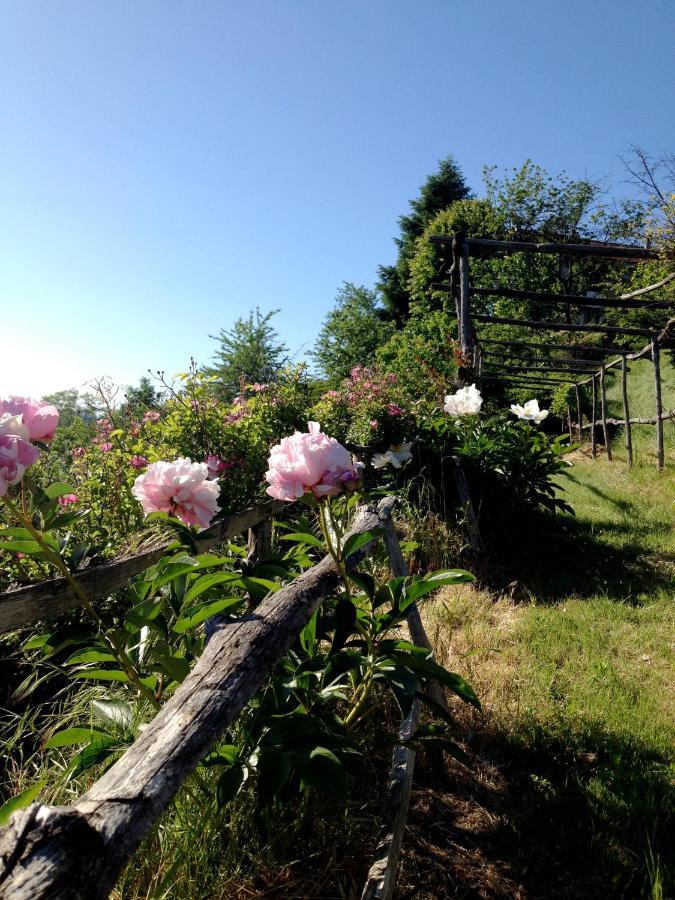B&B Al Giardino Dei Mandorli Prasco 외부 사진